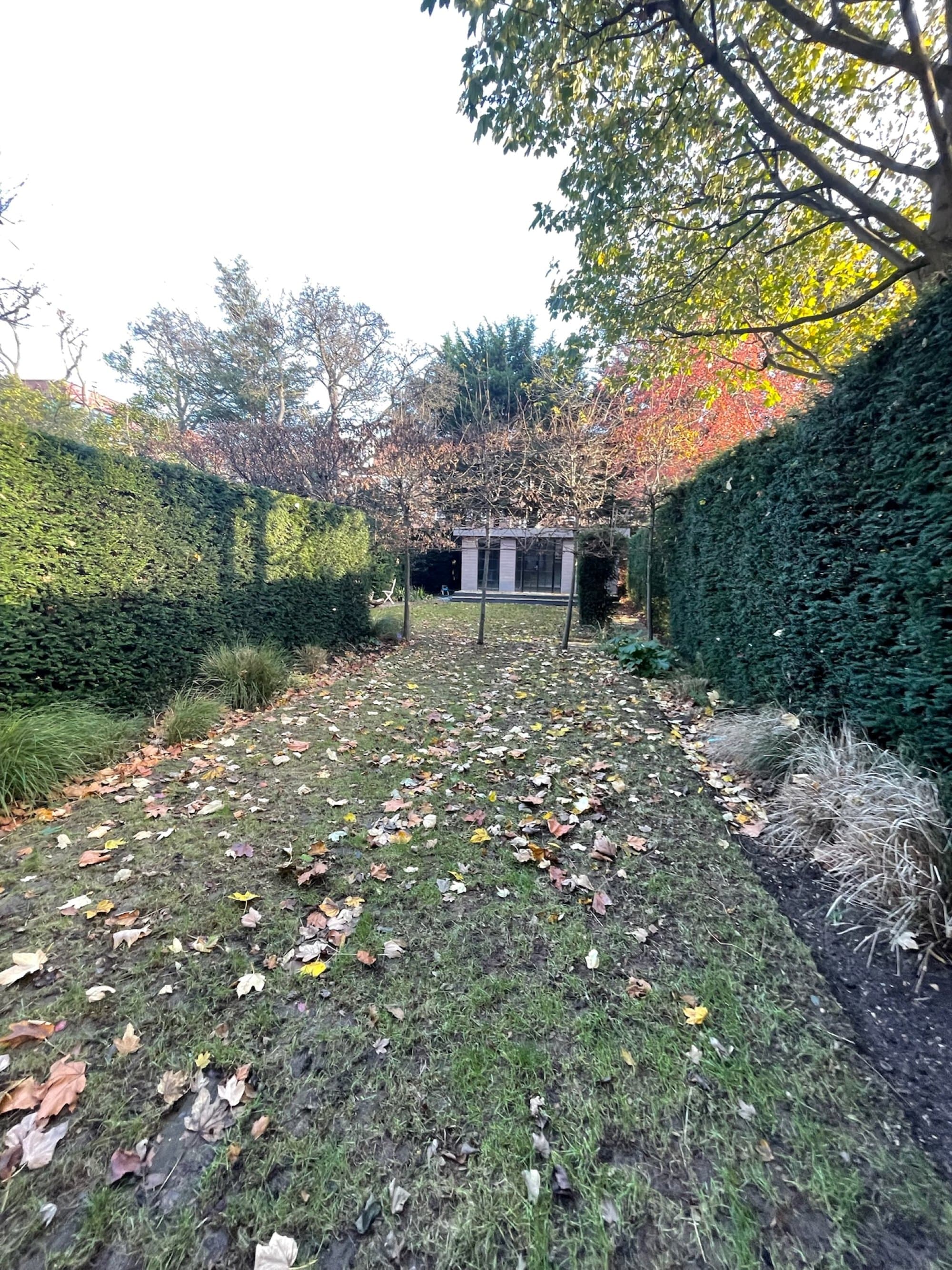 Autumn leaves scattered across a North London garden — the seasonal turn that this journal post is about