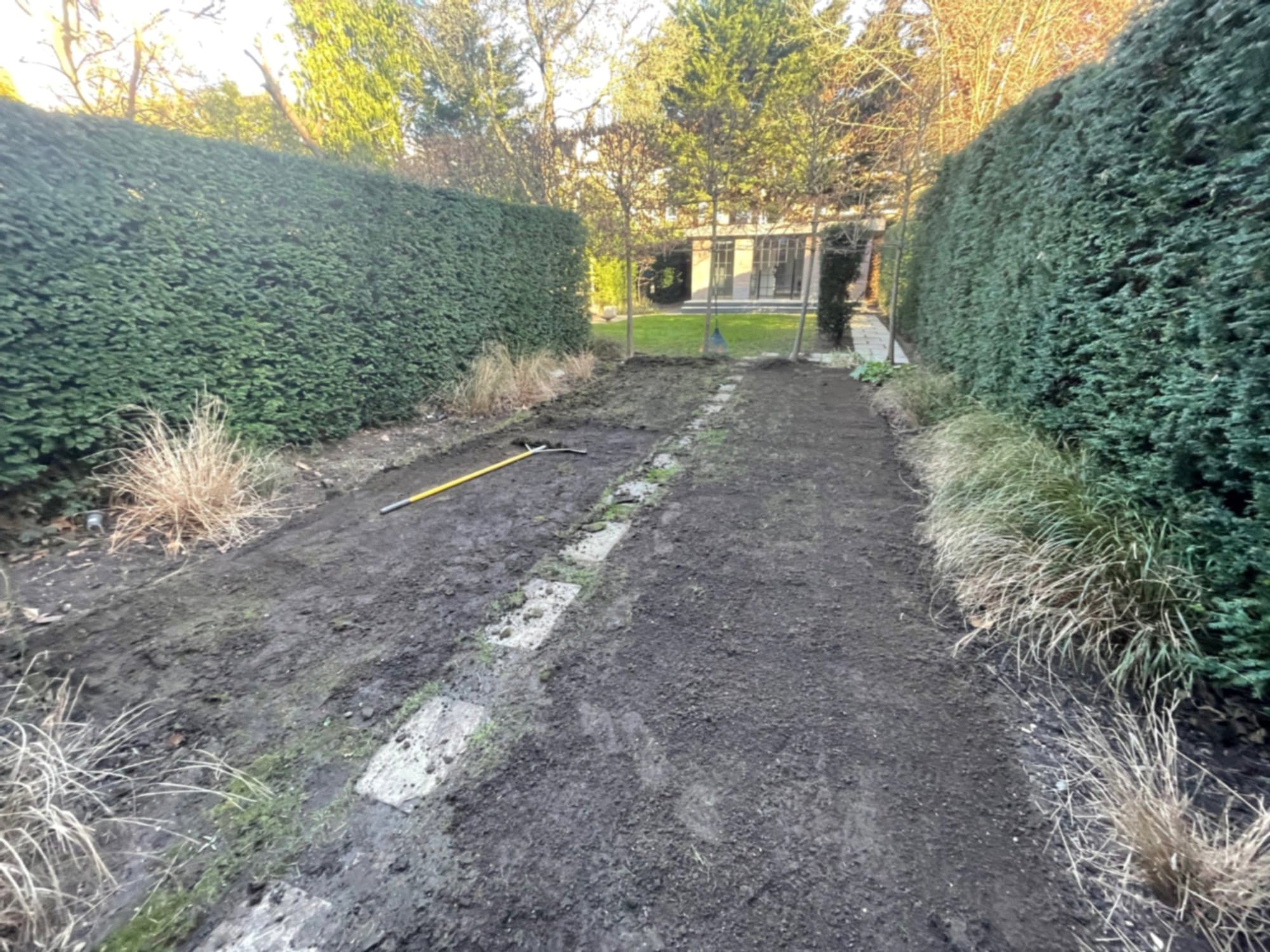 A Lawn Restoration in Belsize Park before the work