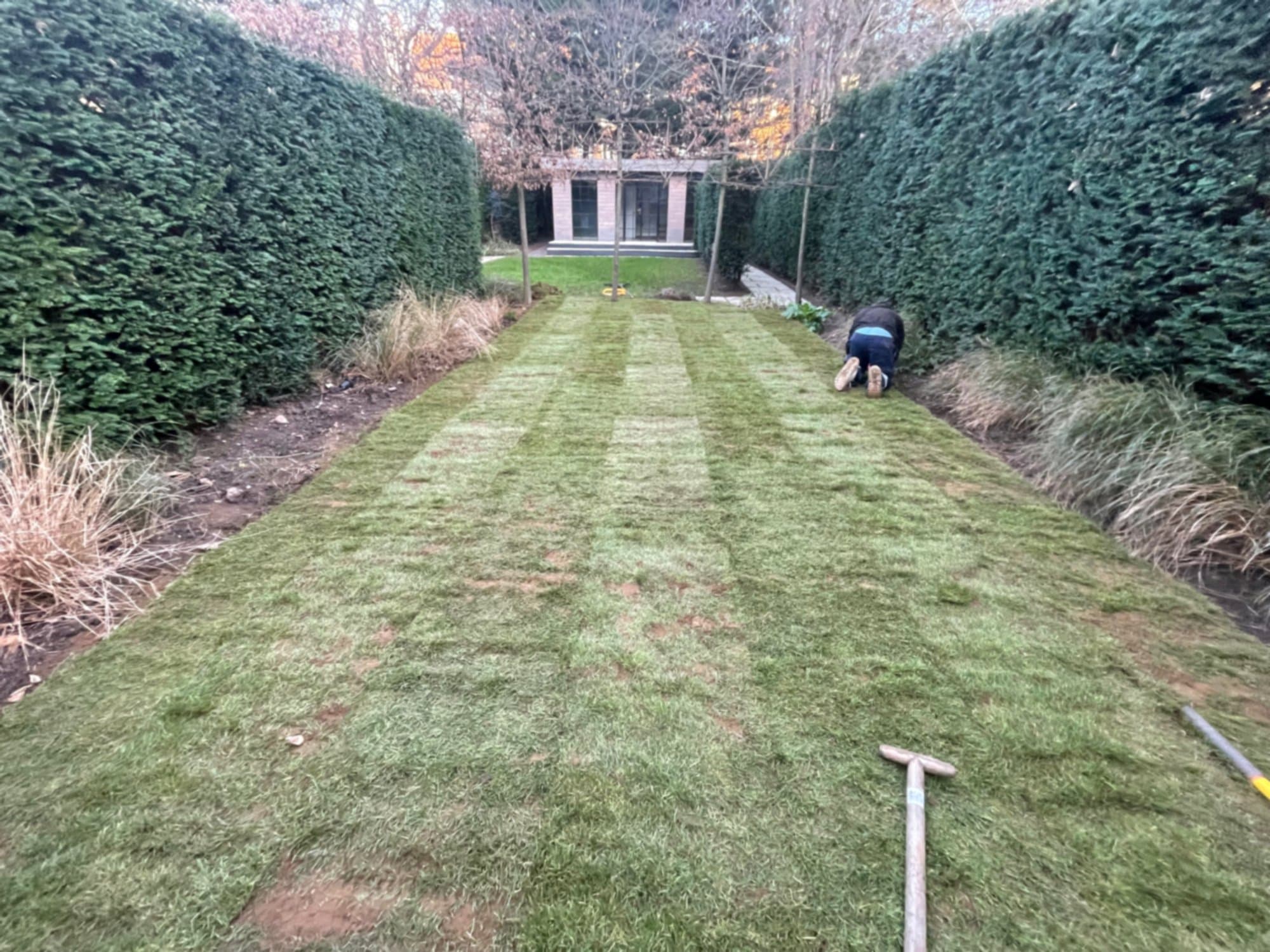 The lawn seeded and beginning to establish, one of the team working on it in the distance