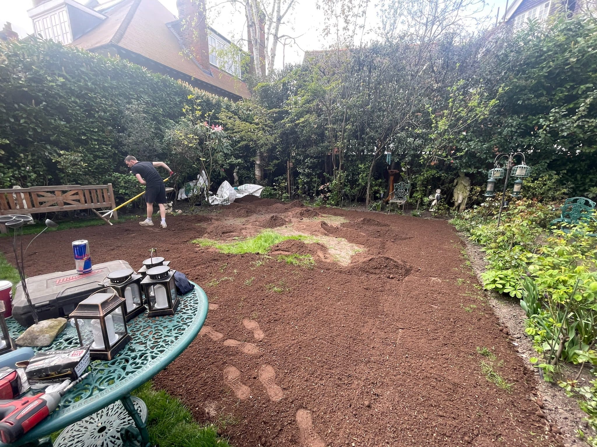 A Wildflower Meadow in Hampstead before the work