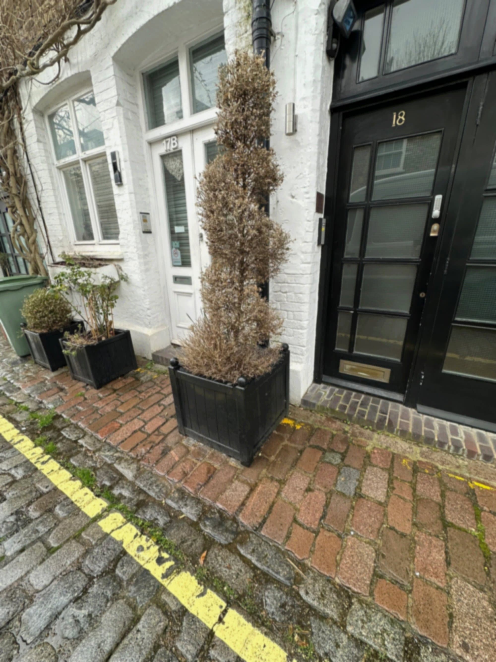 A Mews Frontage in Marylebone before the work