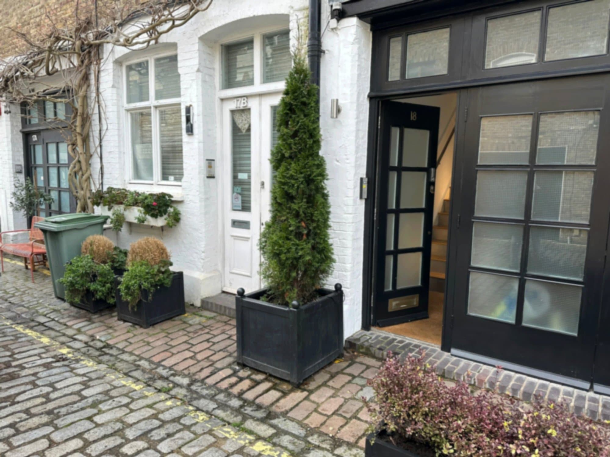Close-up of the doorway with the tall Pittosporum planter and seasonal colour at the base