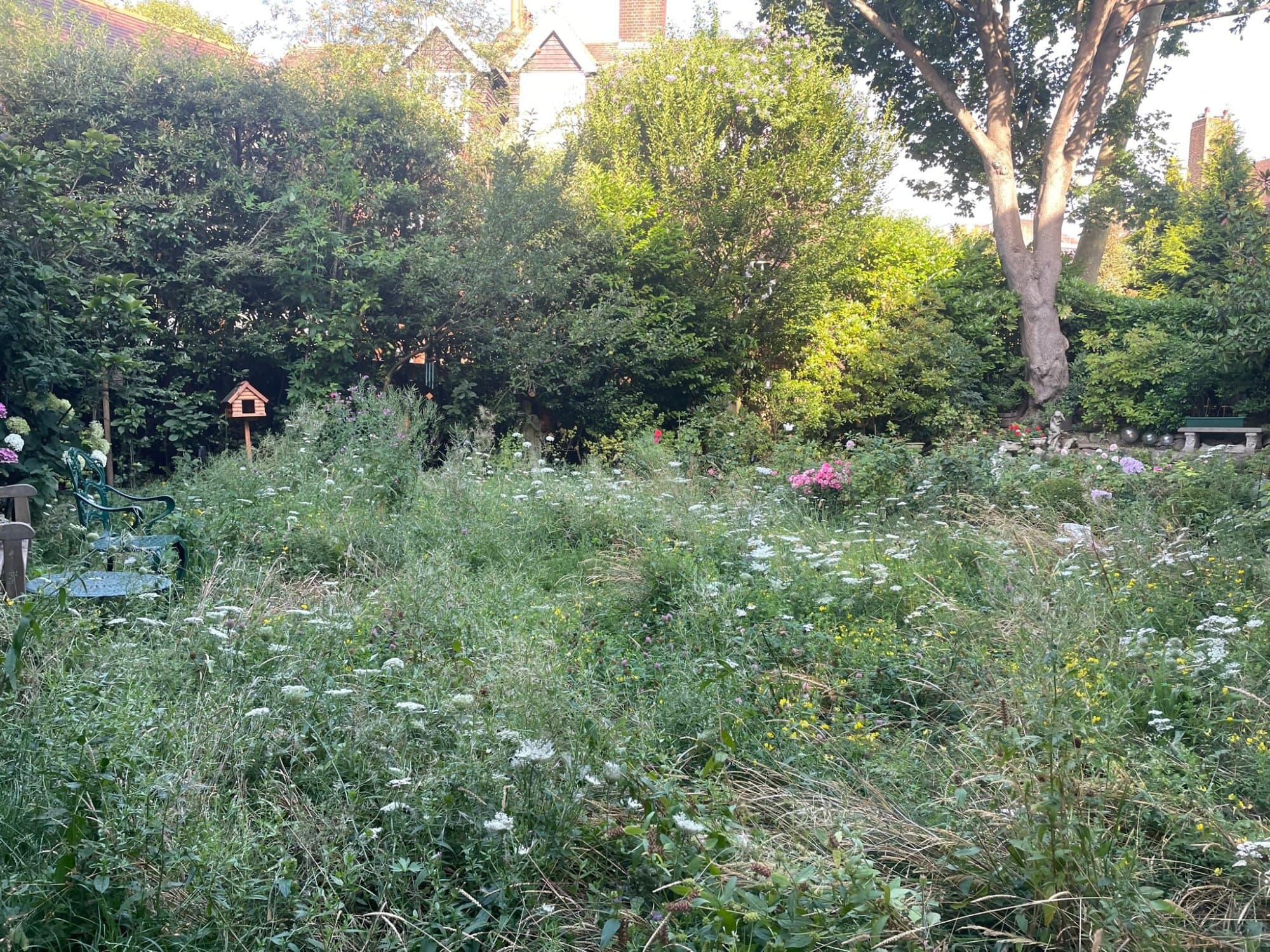 A naturalistic wildflower meadow in a North London garden, long grasses, cow parsley and buttercups with a mown path winding through, a bird table and a cast-iron bench, left to grow for wildlife.